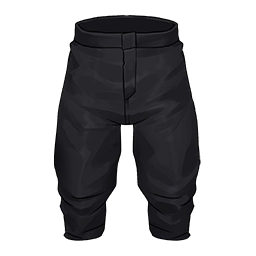 Guardian's Bottoms