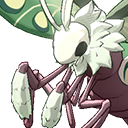 mon forest moth 0001