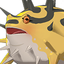 mon rushfrog 0101