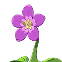 mon walkingflower 0001