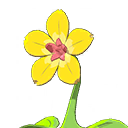 mon walkingflower 0002