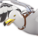 Domesticated Seagull