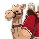 Guiding Camel