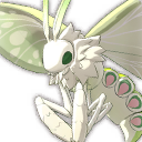 Gentle Multicolored Moth