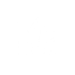 adventure icon
