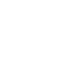 adventure icon