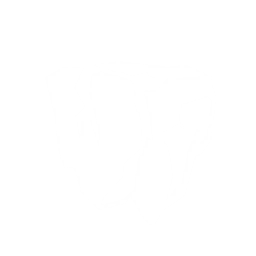 adventure icon