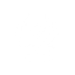adventure icon