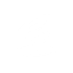 adventure icon