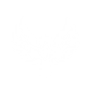 adventure icon