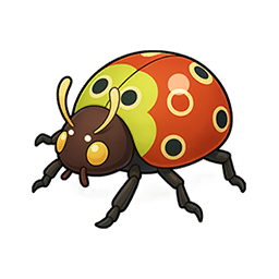 Ladybug