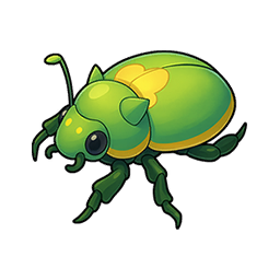 Beetle