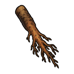 Dandelion Root