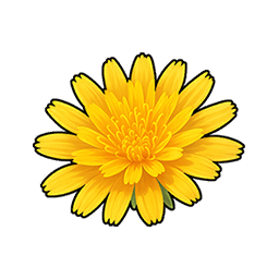 Seashore Sowthistle
