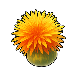 Safflower Seed