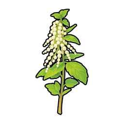 Nettle
