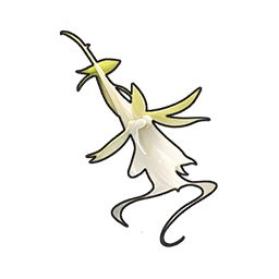 Ghost Orchid
