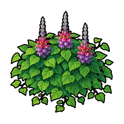 Kudzu Vine