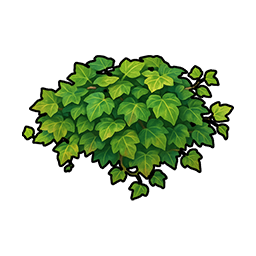Ivy Vine