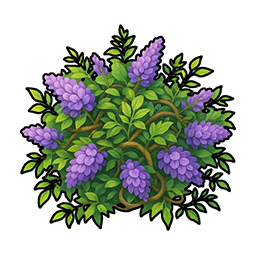 Wisteria Vine