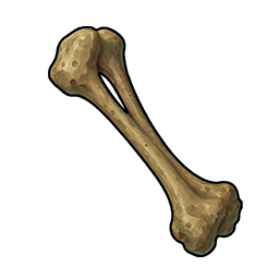 Wolf Bone Fragment