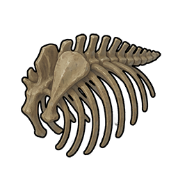 Bison Bone Fragment