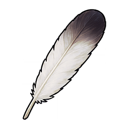 Seagull Feather