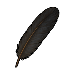 Crow Feather