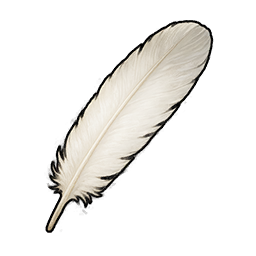 Chicken Feather