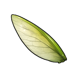 Gleaming Insect Wing