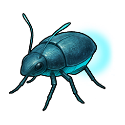 Spirit Firefly