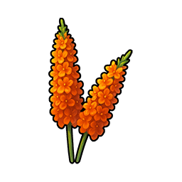 Dragon Plant