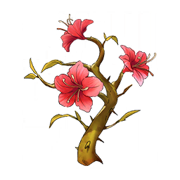 Sandflower
