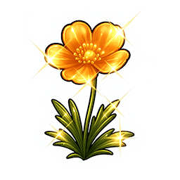 Shining Bigmoss Flower