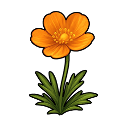 Bigmoss Young Flower