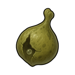 Torn Vocal Sac