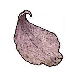 Withered Flower Petals