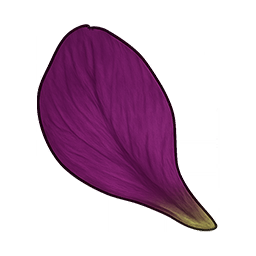 Lively Flower Petals
