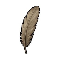 Broken Feather