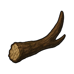 Broken Deer Antler