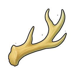 Exquisite Deer Antler