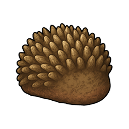 Blunt Quill