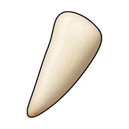Sharp Rabbit Tooth