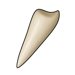 Shiny Rabbit Tooth