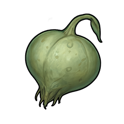Unripe Screamer Fruit