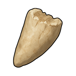 Small Hatchling Tooth