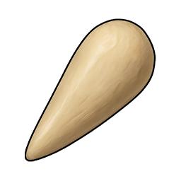 Hard Hatchling Tooth