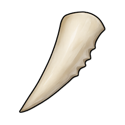 Sharp Hatchling Tooth