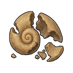 Broken Shell