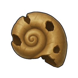 Punctured Shell